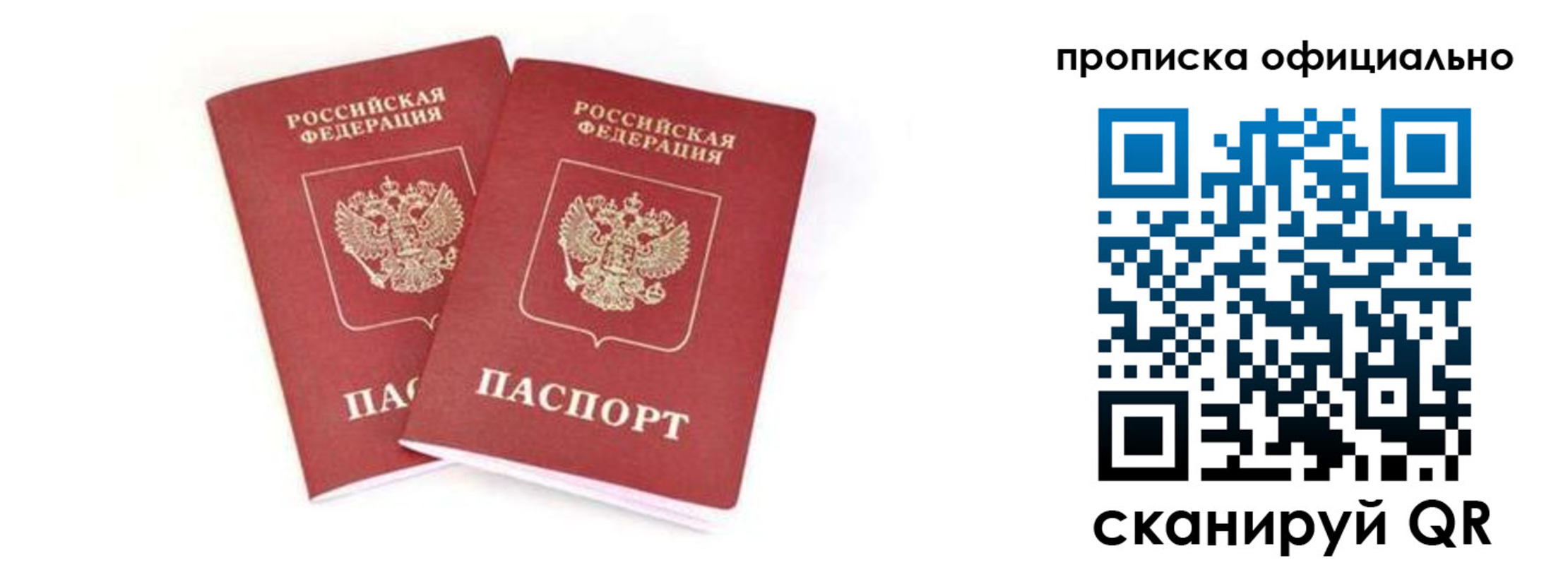 где прописаться в Купино